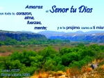 Amaras al Senor tu Dios
