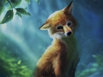 cute fox