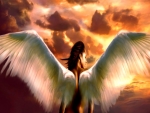 Angelwings