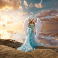 Angel of the morning