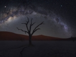 Milky Way over Dead Vlei