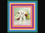 Carnation doggie floral present rainbow celebration!