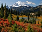 Mt. Rainier in autumn