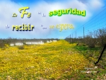 La Fe es la Seguridad