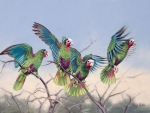Parrot Group