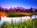 Summer Sunrise At Teton National Park