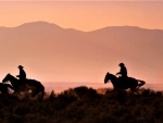 cowboys at sunset