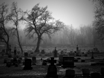 Dark Cemetery