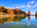 lake in autumn