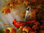 Cardinals of Autumn