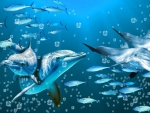 Dolphins under blue waters