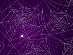 Spider webs