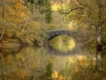 Penbont Bridge, Elan Valley, England