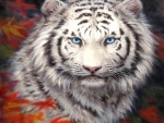 White Tiger