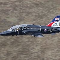 Royal Navy Hawk [Aniversary Tail]