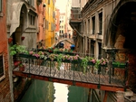 The canals of Venice.