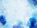 Blue Roses Windows 7 themes .jpg