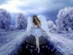 Winter Angel