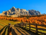 mountain in autumn