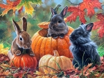 Pumpkin Patch Bunnies