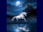 Moonlight Unicorn