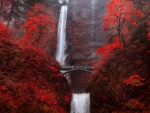 Multnomah falls