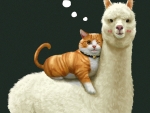 Cat and alpaca