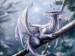 Snow Dragon