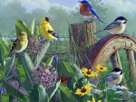 Birds and flowers