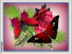 BUTTERFLIES AND ROSES