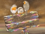 Christmas Birds