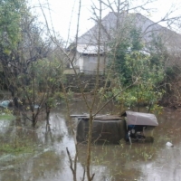 PEACE CBD OIL  Benefits Reviews & Where To Buy?