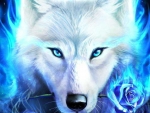 White wolf