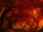 Fiery Forest