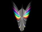 Wings of a Rainbow