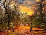 Cabins near Appalachian Trail, North Carolina