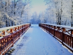 bridge in winter