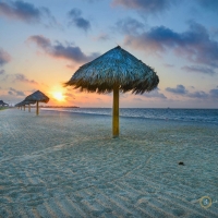 Beautiful Beach Sunrise