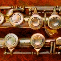 flute