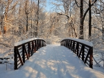 Snow covered bridge