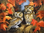Owls in Autumn