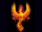 Rising Phoenix