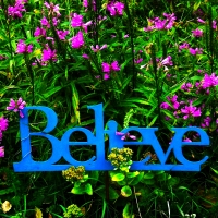 believe