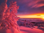 Winter sunset