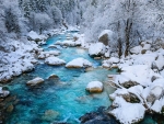 creek in winter