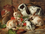 Rabbit Group
