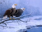 Eagles