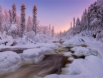 stream in winter