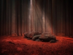 Red Forest Glade With Stones