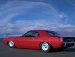 Clam Beach Cuda